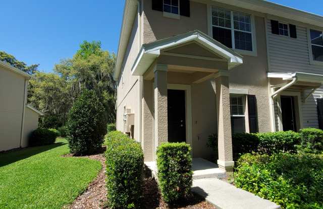 15736 Fishhawk Falls Drive Gallery 2