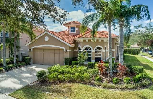 14517 MIRASOL MANOR COURT - 14517 Mirasol Manor Court, Keystone, FL 33626