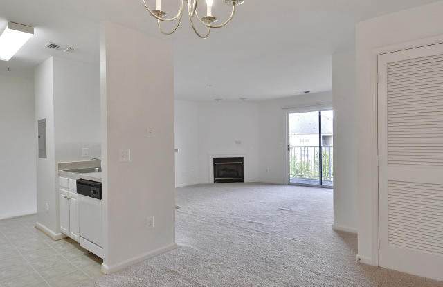 Ashburn Meadows photos photos