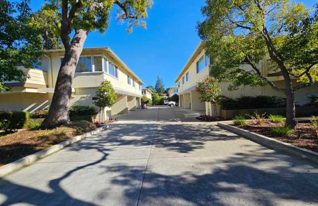 Updated 2 bedroom with in unit washer, dryer and central AC- Available July 25th photos photos