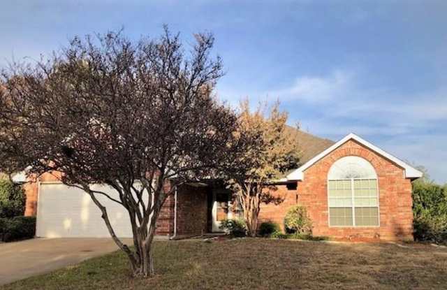3006 Whetstone Lane - 3006 Whetstone Lane, Euless, TX 76039