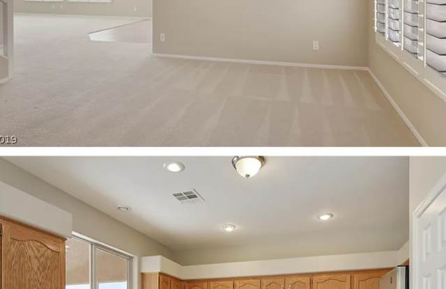 8171 Petunia Flower Way Gallery 4