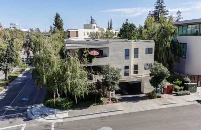 1 Bed / 1 Bath Palo Alto condo near Stanford University and shops/restaurants of California Ave. YouTube Tour! - 2504 Birch Street, Palo Alto, CA 94306