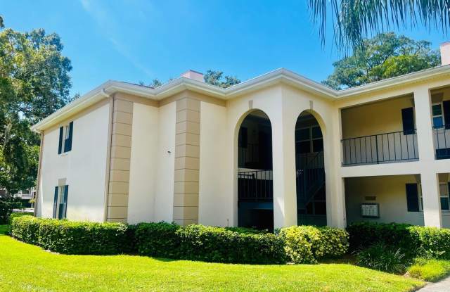 10368 Carrollwood Ln APT 234 - 10368 Carrollwood Lane, Carrollwood, FL 33618