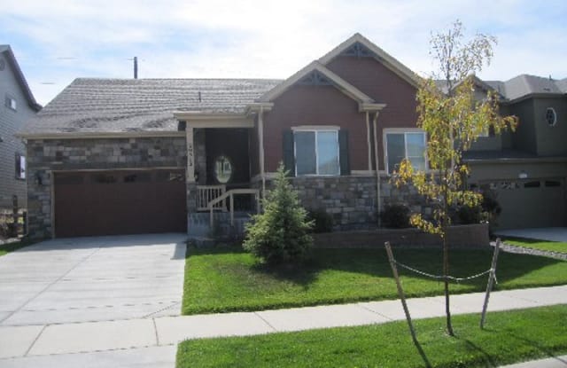 20512 Northern Pine Avenue - 20512 Northern Pine Avenue, Parker, CO 80134