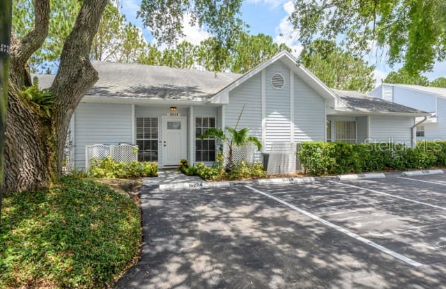 16224 RAMBLING VINE DRIVE W - 16224 Rambling Vine Drive West, Northdale, FL 33624