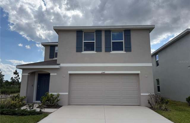 2541 BIRNEY RUN photos photos