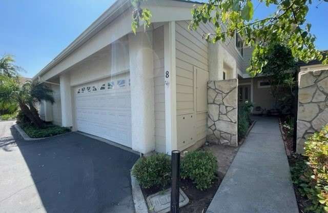 8 Clover photos photos