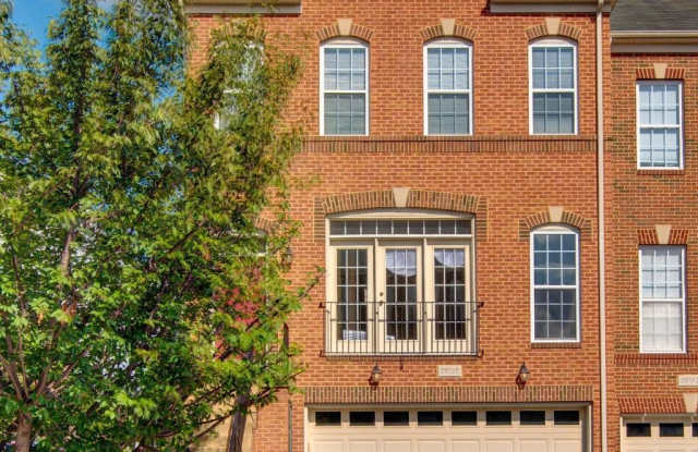 25130 CUTGRASS Terrace Gallery 1
