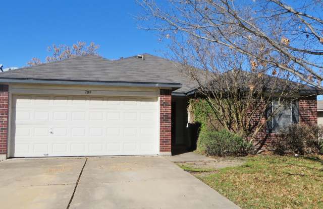 3 Bedroom 2 Bathroom Leander Home - 709 Red River Lane, Leander, TX 78641