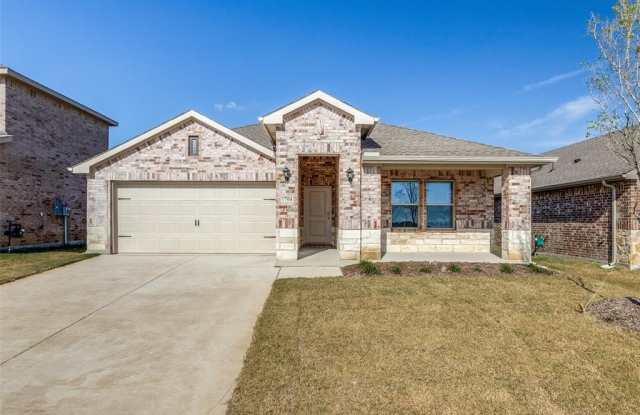 1704 Basalt Lane - 1704 Basalt Lane, Collin County, TX 75009