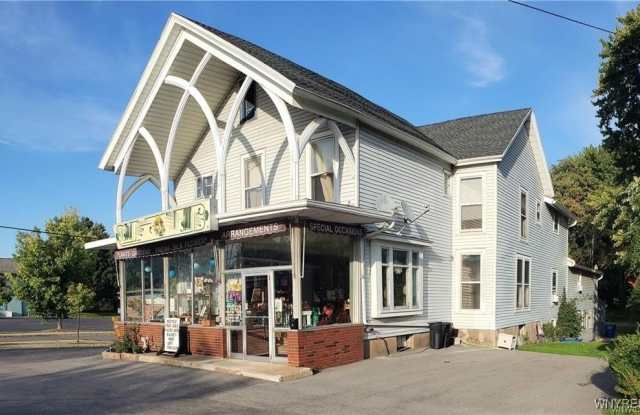 139 S Main Street - 139 South Main Street, Albion, NY 14411