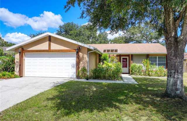 706 SUNLIT COURT - 706 Sunlit Court, Brandon, FL 33511