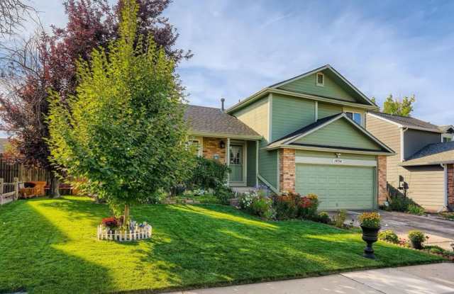 Incredible Tri-level home in Cherry Creek school district photos photos