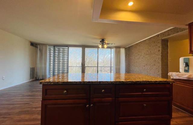 4360 IVYMOUNT Court Gallery 4