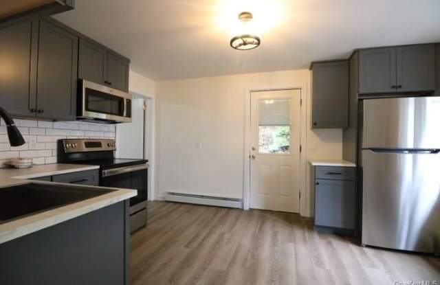 208 Center Street - 208 Center Street, Ellenville, NY 12428