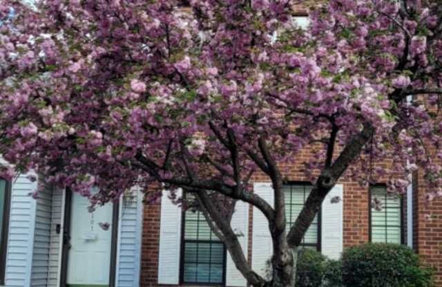101 Westerly Drive - 1 - 101 Westerly Drive, Nashville, TN 37221