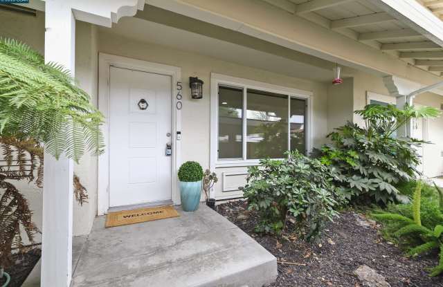 560 La Copita Ct photos photos