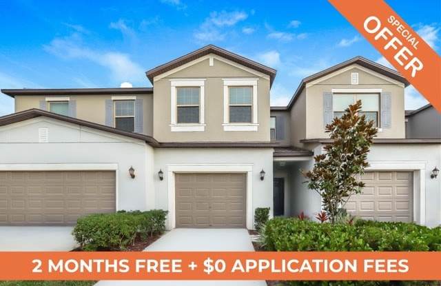 10122 Tabasco Cat Court - 10122 Tabasco Cat Court, Apollo Beach, FL 33573