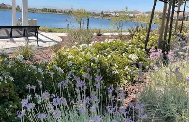 Coming Soon! Beautiful River Islands Townhome Gallery 4
