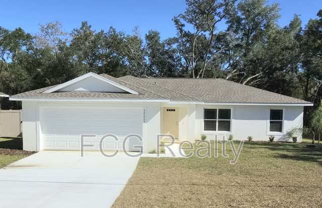 10663 N Adler Dr - 10663 North Adler Drive, Citrus Springs, FL 34434
