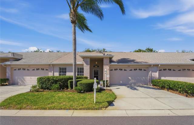 1221 WOLFORD DRIVE - 1221 Wolford Drive, Trinity, FL 34655