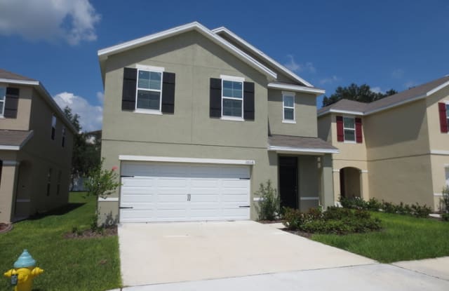 10116 Hawk Storm Avenue - 10116 Hawk Storm Avenue, East Lake-Orient Park, FL 33610
