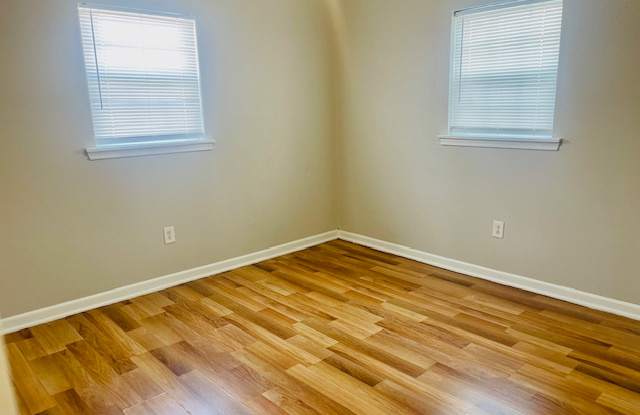 1107 45th Street- B Gallery 3
