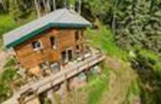 Charming 1-Bedroom Home on the Outskirts of Town - 1479 Teslin Trail, Goldstream, AK 99709