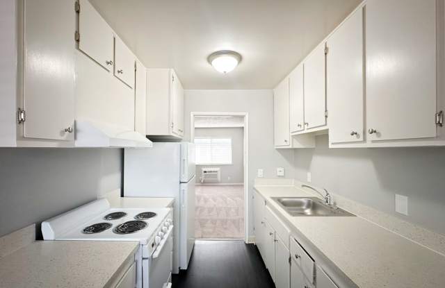 Summer Woods photos photos