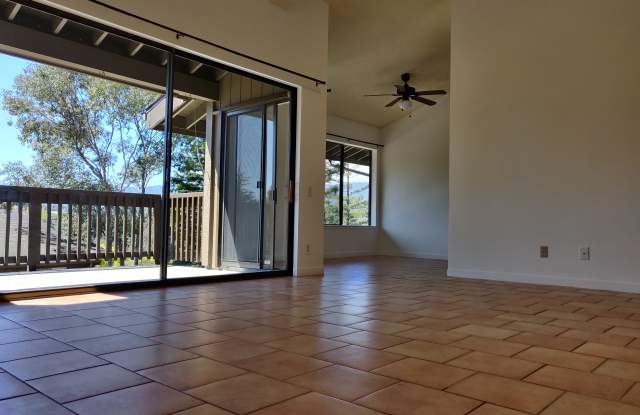 3392 Brittan Avenue - 3392 Brittan Avenue, San Carlos, CA 94070