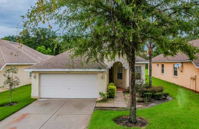 30721 Pumpkin Ridge Dr - 30721 Pumpkin Ridge Drive, Wesley Chapel, FL 33543