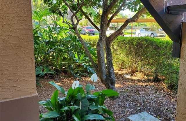 2673 SABAL SPRINGS CIRCLE Gallery 3