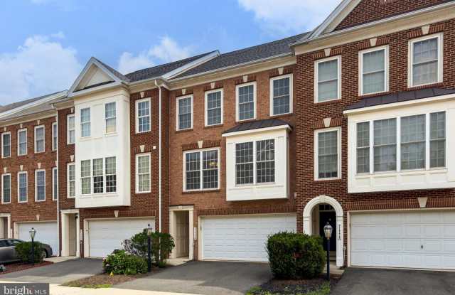 21776 LADYSLIPPER Square Gallery 2