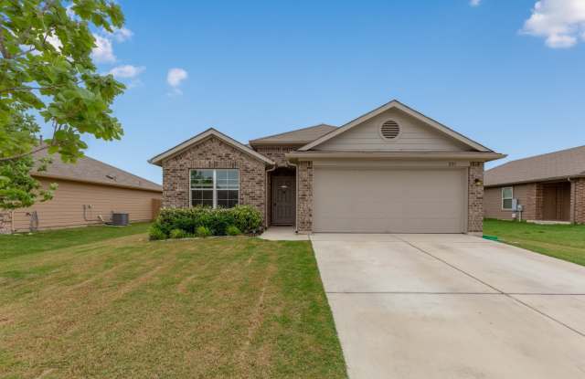 Comfortable 3BR / 2BA Home with Island Kitchen  Private Backyard - 221 Alpha, Kyle, TX 78640