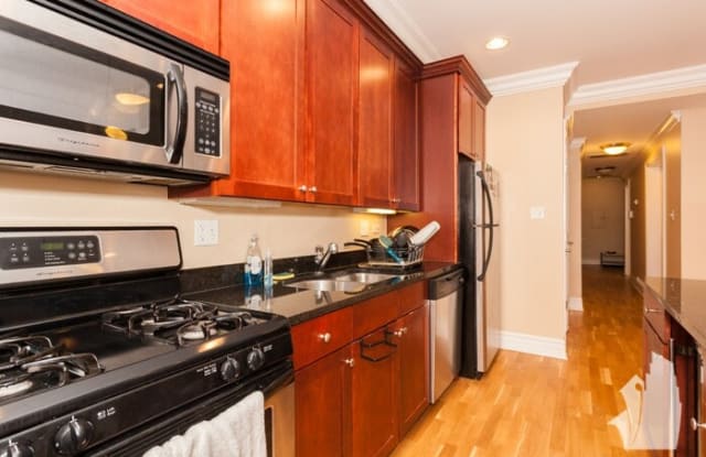 1707 North Crilly Court - 1707 North Crilly Court, Chicago, IL 60614