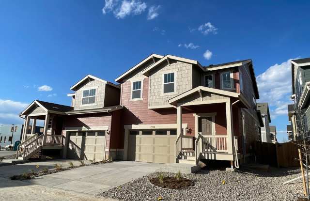 Luxurious home in Dove Village - 16263 Estuary Point, Parker, CO 80134