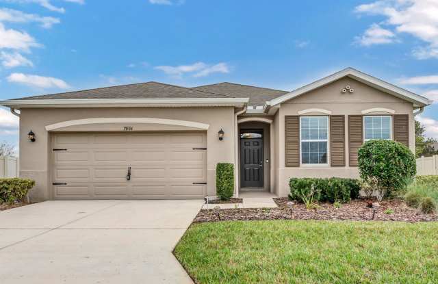 4/2 Lagoon Home - 31534 Tansy Bend, Wesley Chapel, FL 33545