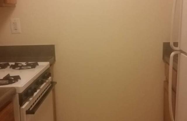 476 Cleveland Street, Ground Floor photos photos