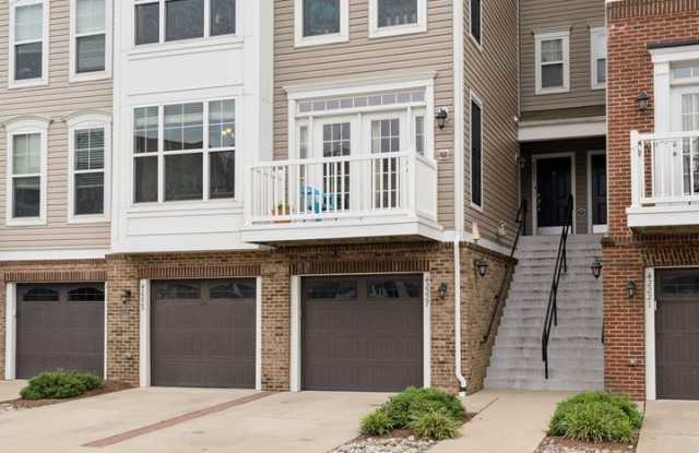 42227 Canary Grass Square photos photos