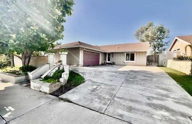 24231 Amurro photos photos