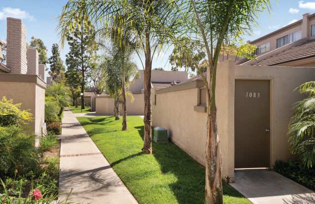 The Terrace Apartments photos photos The Terrace Apartments photos photos