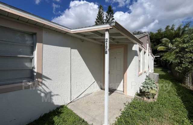 217 McKean Street - 217 McKean Street, Auburndale, FL 33823