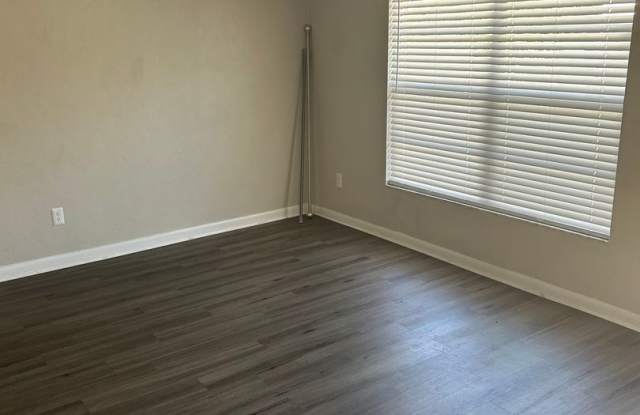 Palmetto Walk photos photos