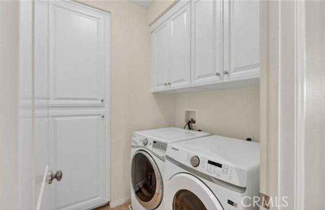 30 Maple Leaf photos photos 30 Maple Leaf photos photos