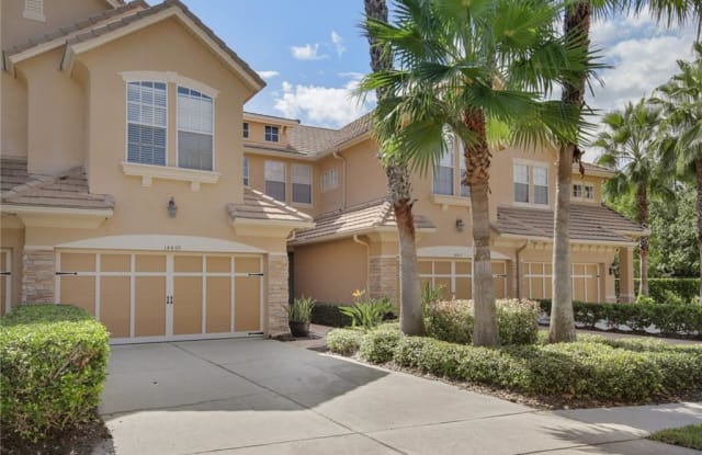 14459 MIRABELLE VISTA CIRCLE - 14459 Mirabelle Vista Court, Keystone, FL 33626