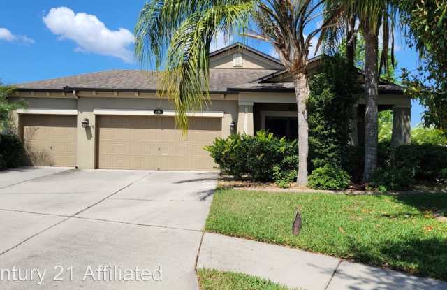 11501 Palmetto Pine St - 11501 Palmeto Pine Street, Riverview, FL 33569
