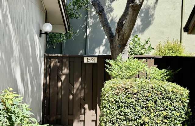 1564 Candelero Drive photos photos