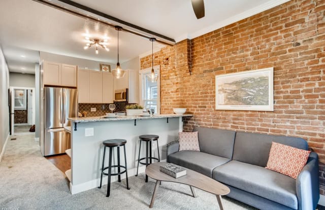 319 Delaware Street - 319 Delaware Street, Denver, CO 80223