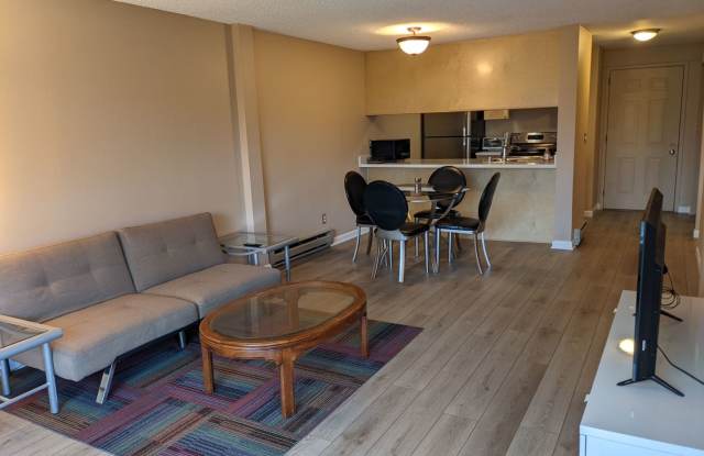 PLUG  PLAY - FULLY FURNISHED BEAUTIFUL  QUIET Condo in NORTHGATE – Secured garage parking and new Northgate light Rail Station is only a 5 minute walk away!!!! - 9416 1st Avenue Northeast, Seattle, WA 98115